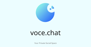 推荐一个轻量自部署聊天工具：VoceChat，适合个人、小团队和私有社群